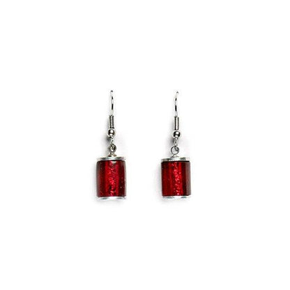 Rainbow Tubes Fish Hook Earrings | The Jewellery Stop