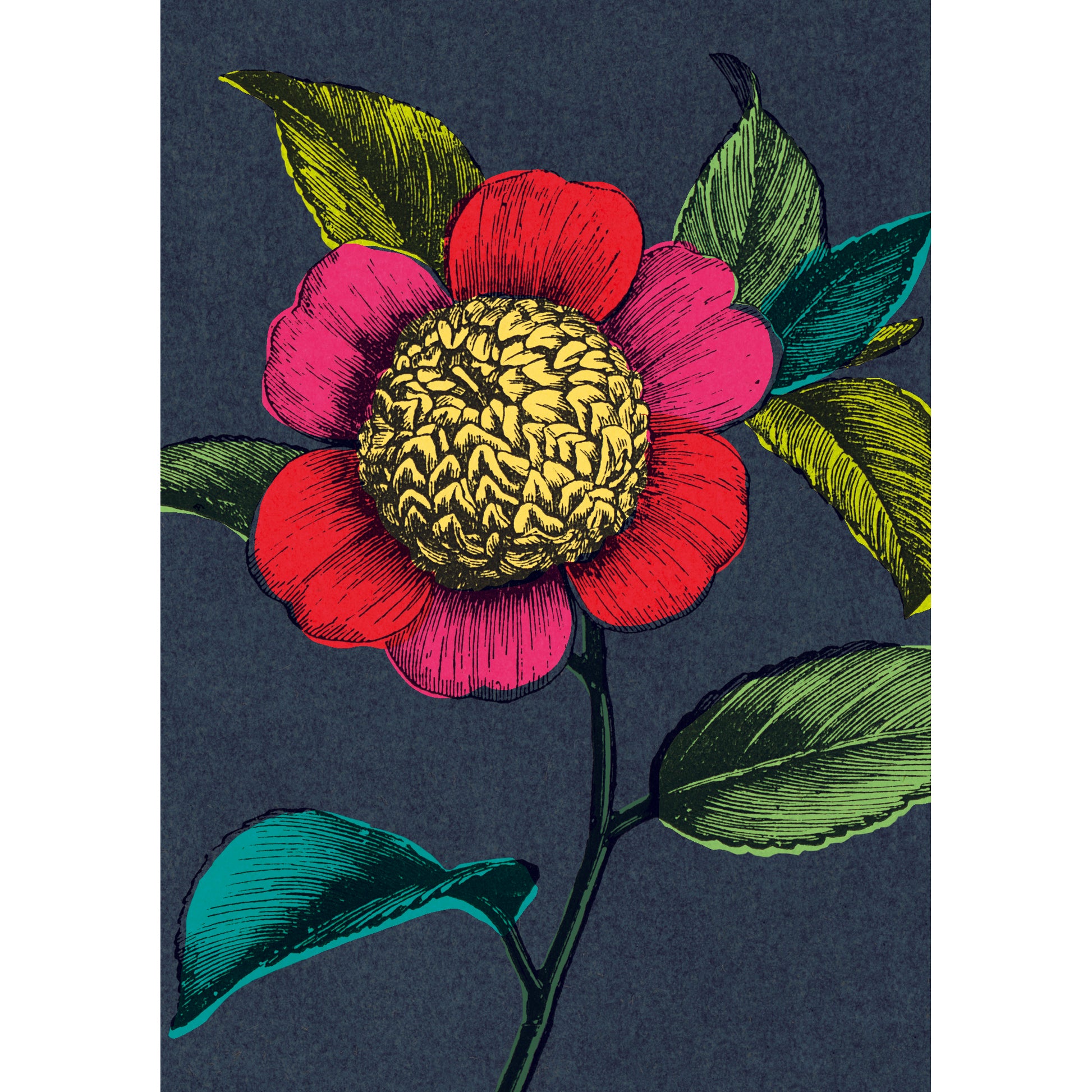Colourful Camellia Greeting Card