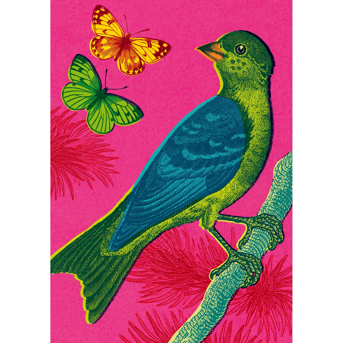 Funky Finch Greeting Card