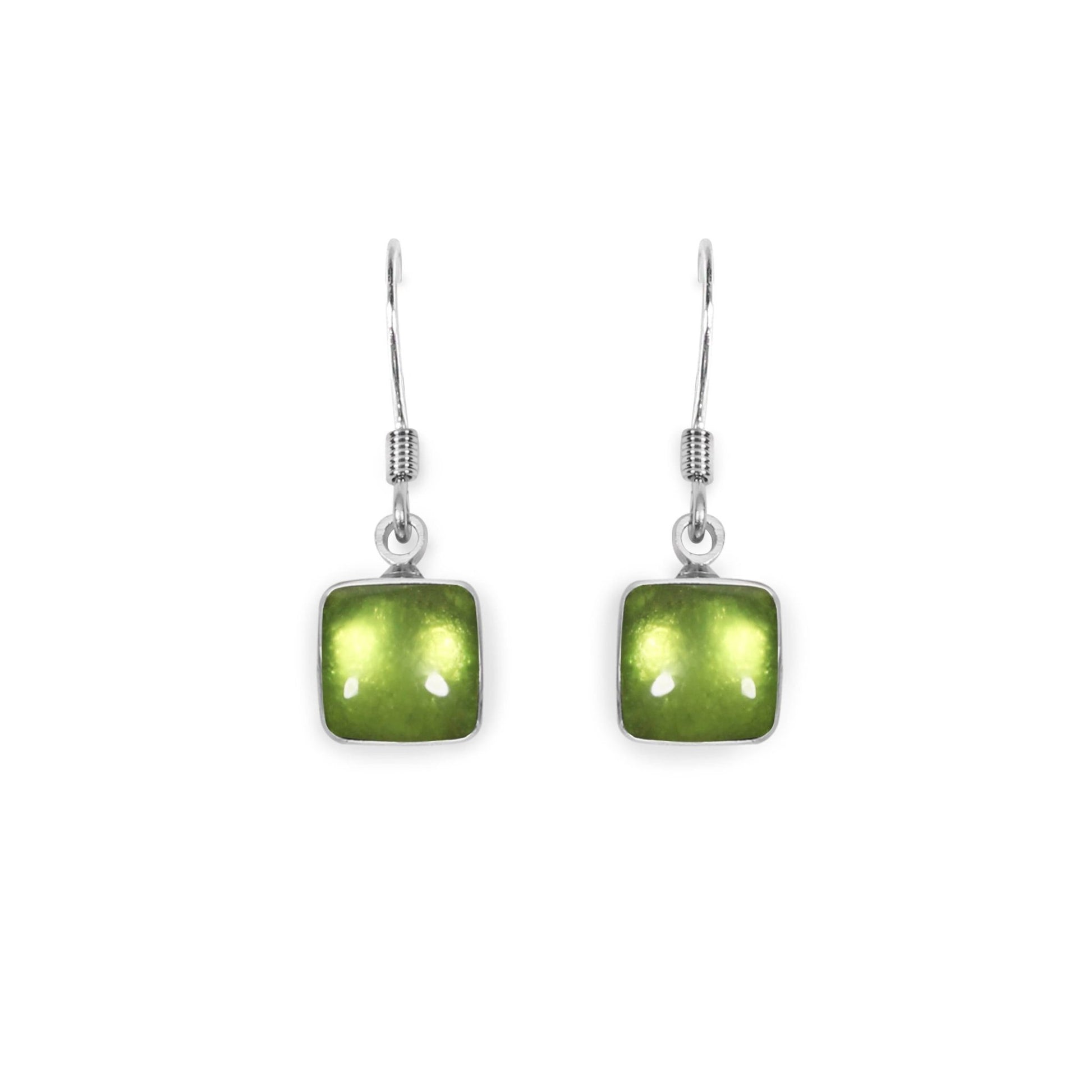 Kiwi Aluminium Squares Shiny Small Fish Hook Earrings | The Jewellery Stop