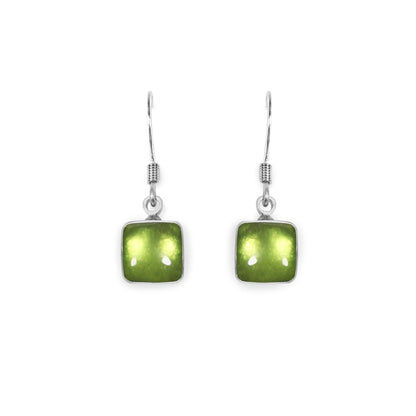 Kiwi Aluminium Squares Shiny Small Fish Hook Earrings | The Jewellery Stop