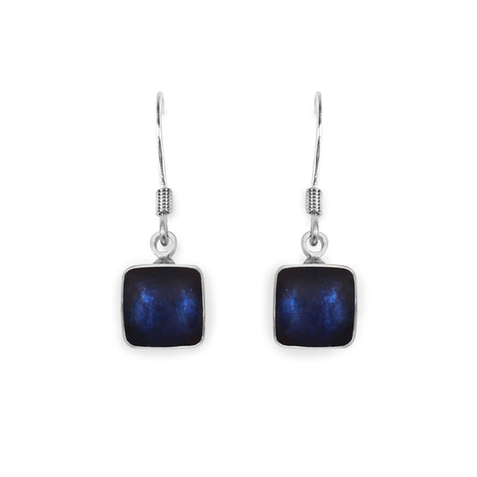 Pacific Aluminium Squares Shiny Small Fish Hook Earrings | The Jewellery Stop