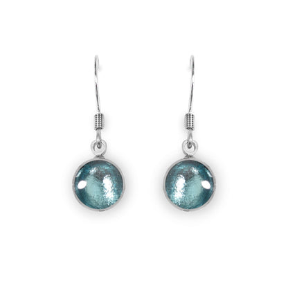 Bluebell Aluminium Circles Shiny Fish Hook Earrings | The Jewellery Stop
