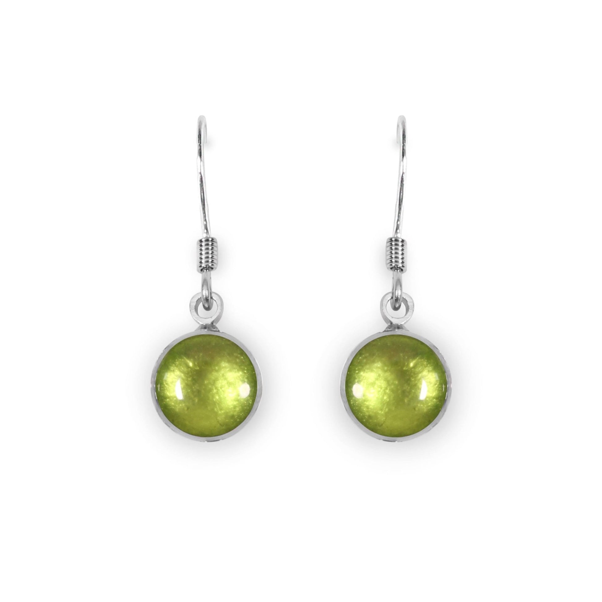 Kiwi Aluminium Circles Shiny Fish Hook Earrings | The Jewellery Stop