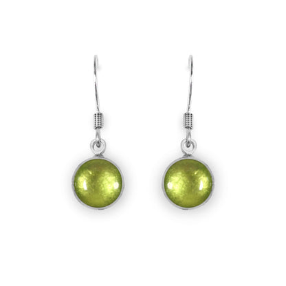 Kiwi Aluminium Circles Shiny Fish Hook Earrings | The Jewellery Stop