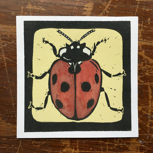 Lady Bird Greeting Card