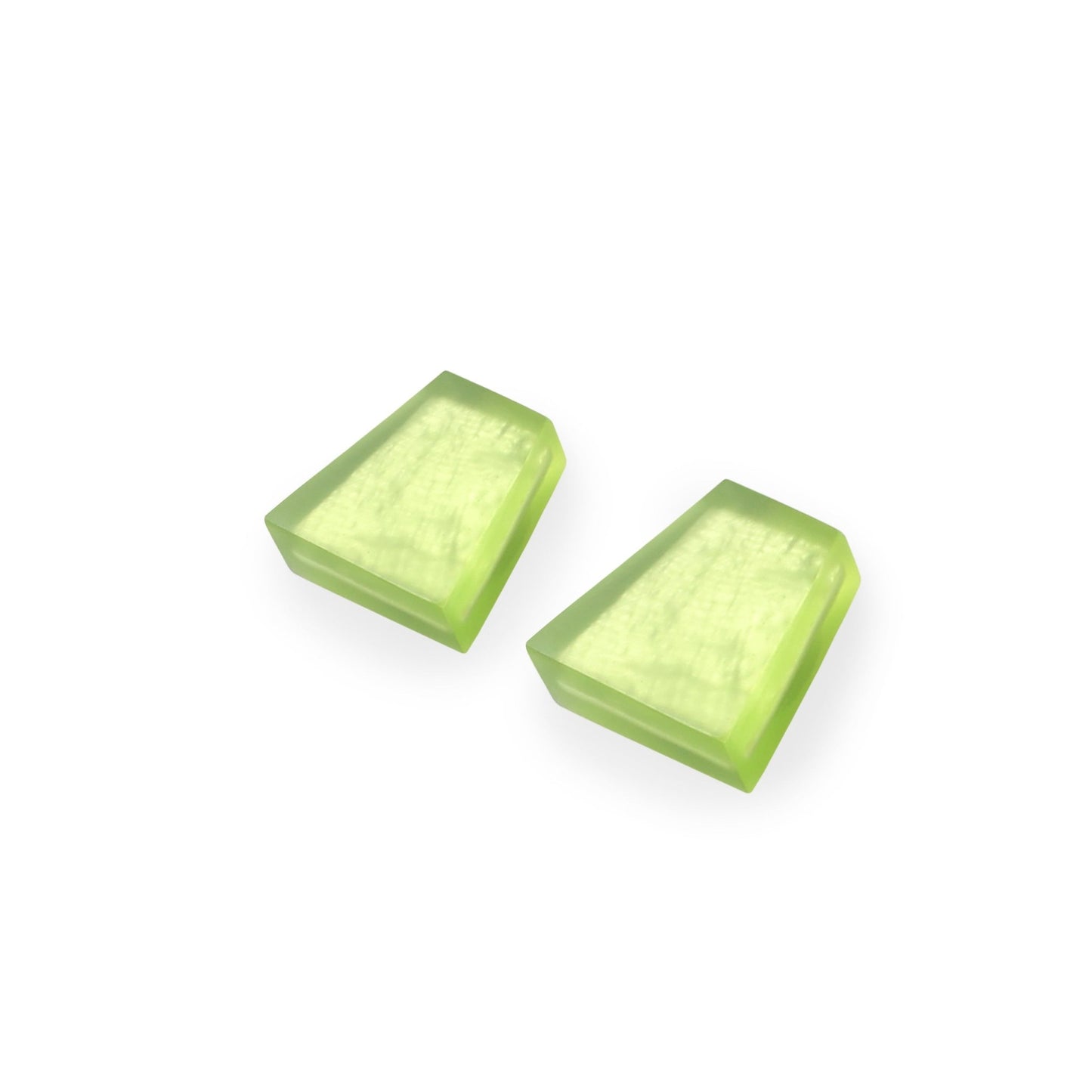 Orchard Shell Collar Matte Stud Earrings | The Jewellery Stop