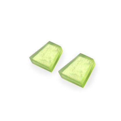 Orchard Shell Collar Matte Stud Earrings | The Jewellery Stop