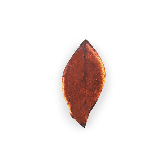 Apricot Skeletal Leaf Shiny Brooch | The Jewellery Stop