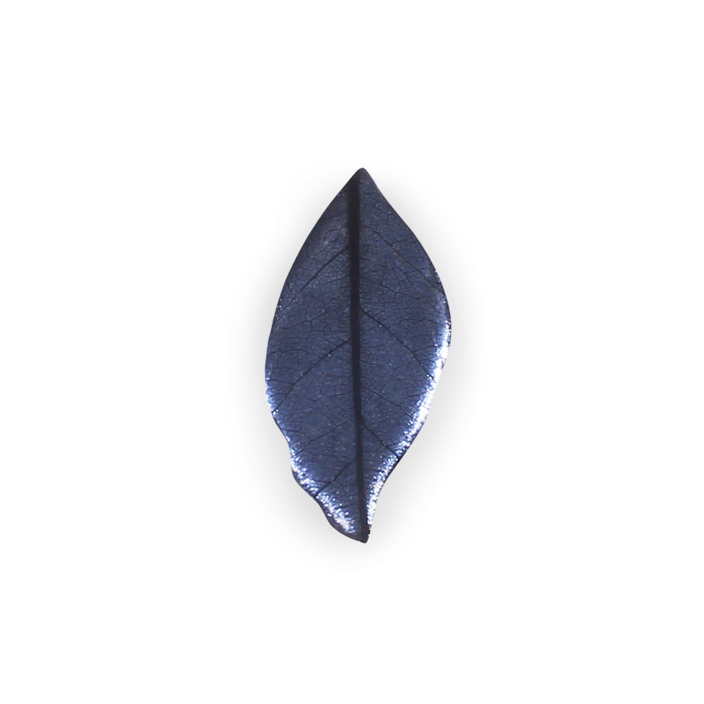 Lupin Skeletal Leaf Shiny Brooch