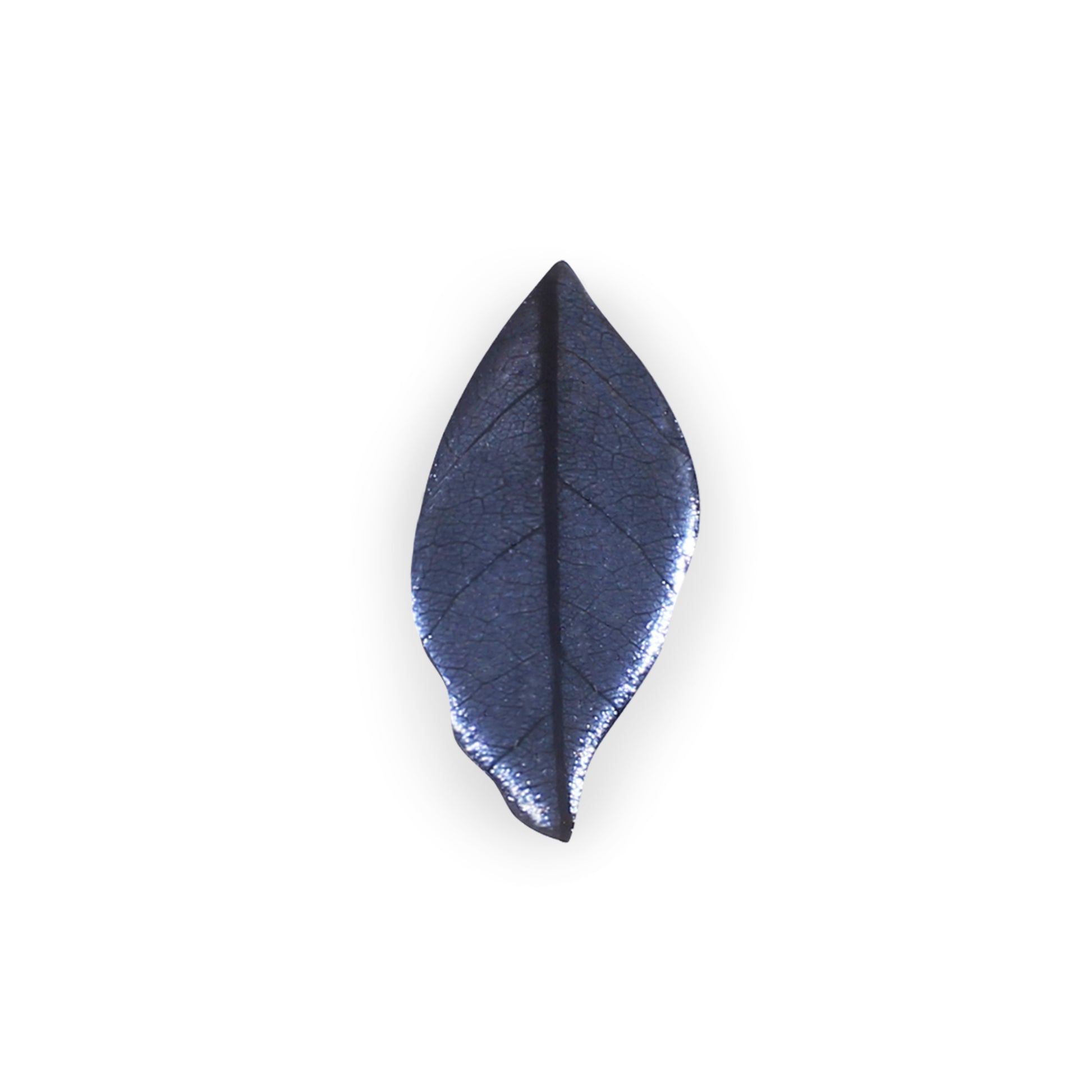 Lupin Skeletal Leaf Shiny Brooch