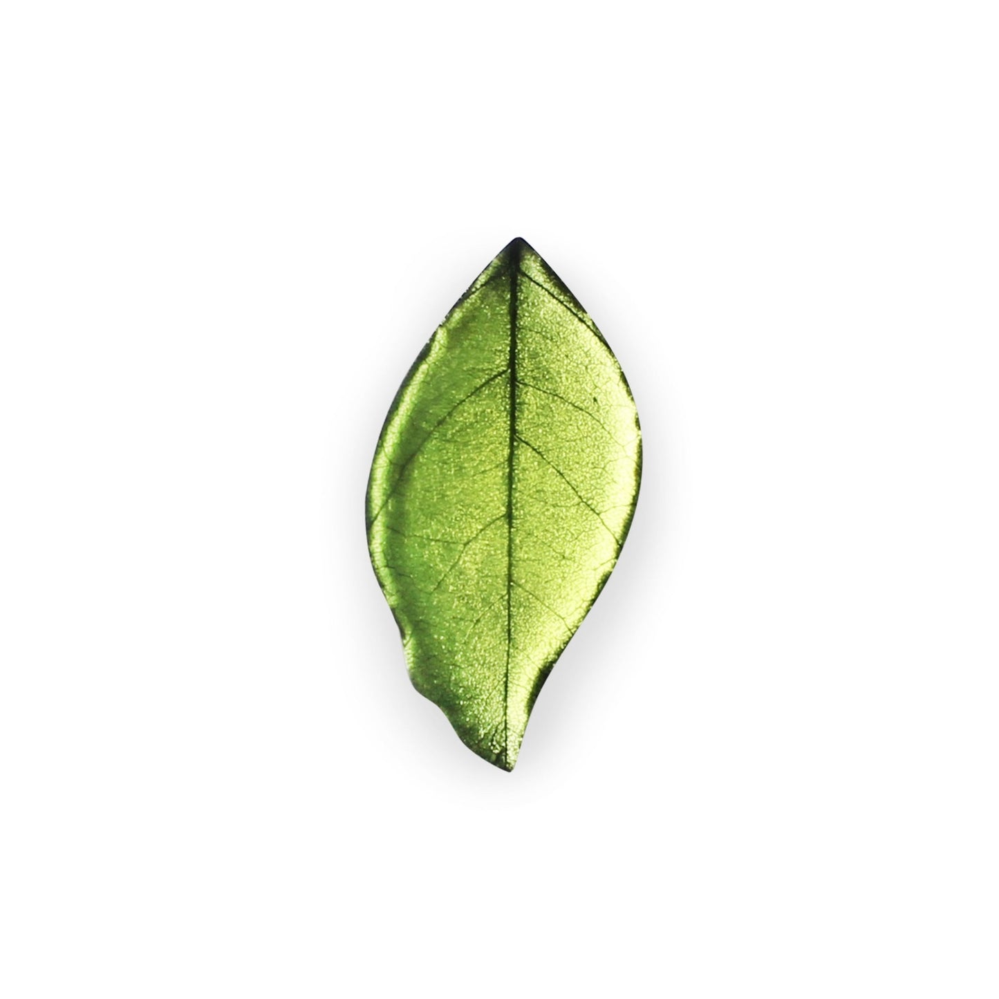 Orchard Skeletal Leaf Shiny Brooch | The Jewellery Stop