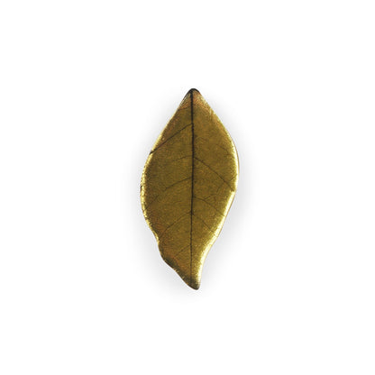 Palomino Skeletal Leaf Shiny Brooch | The Jewellery Stop