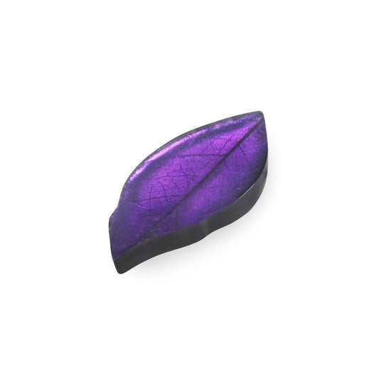 Peacock Skeletal Leaf Shiny Brooch | The Jewellery Stop