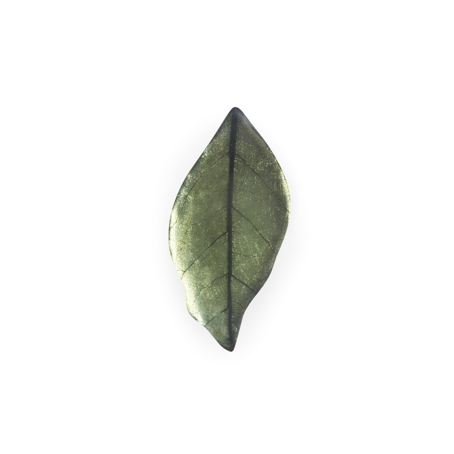 Pear Skeletal Leaf Shiny Brooch