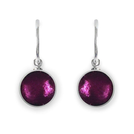 Rainbow Metal Buttons Shiny Creole Earrings | The Jewellery Stop