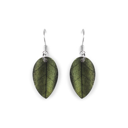 Moss Curved Leaf Shiny Fish Hook Earrings | The Jewellery Stop