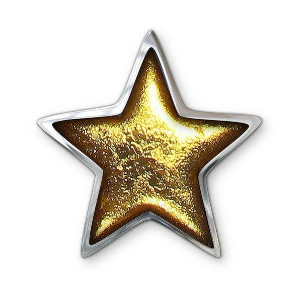 Gold Pewter Star Brooch | The Jewellery Stop