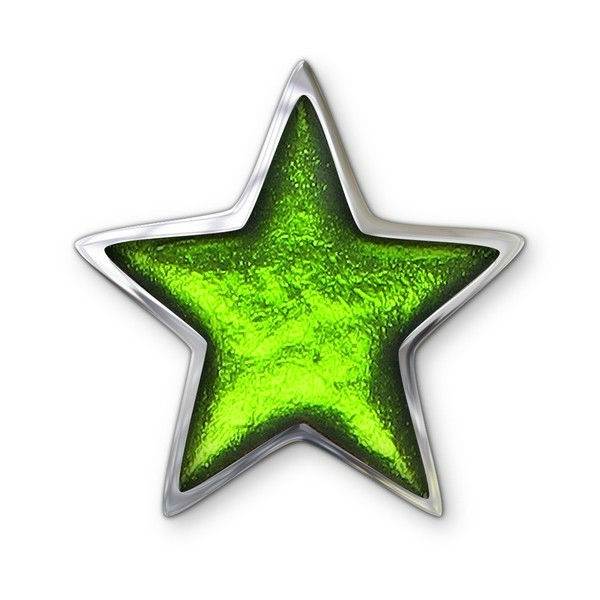 Green Pewter Star Brooch | The Jewellery Stop