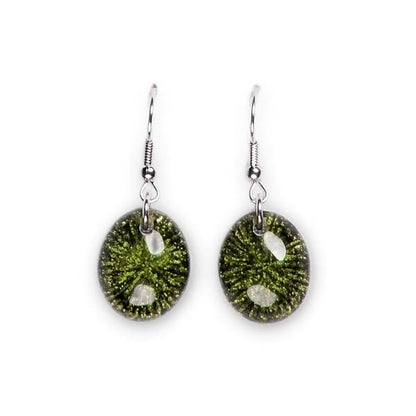 Peridot Fireworks Fish Hook Earrings | The Jewellery Stop