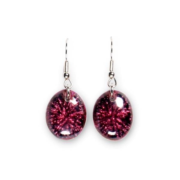 Rainbow Fireworks Fish Hook Earrings | The Jewellery Stop
