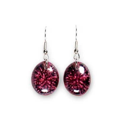 Rainbow Fireworks Fish Hook Earrings | The Jewellery Stop