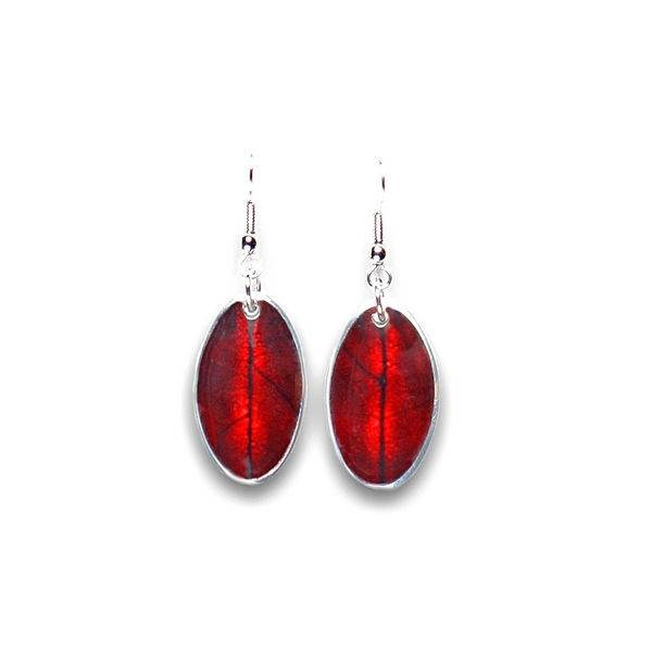 Red Leaf on Coco Fish Hook Earrings | The Jewellery Stop