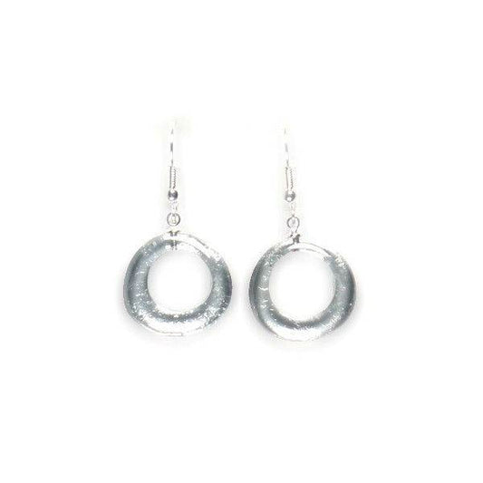 Steel Hollow Circles Fish Hook Earrings | The Jewellery Stop