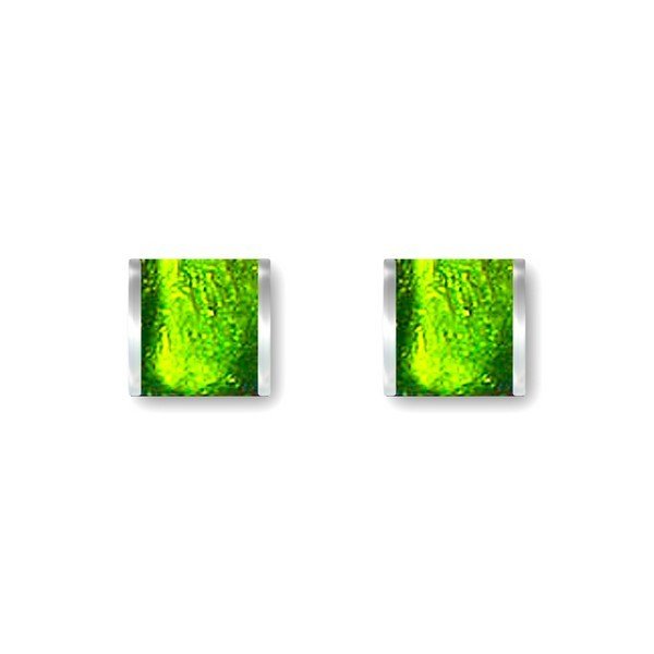 Apple Classic Stripes Stud Earrings | The Jewellery Stop
