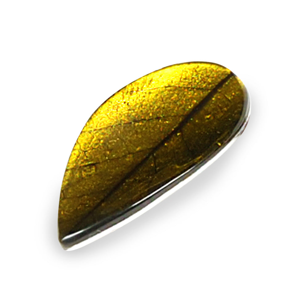 Olive Curved Leaf Brooch
